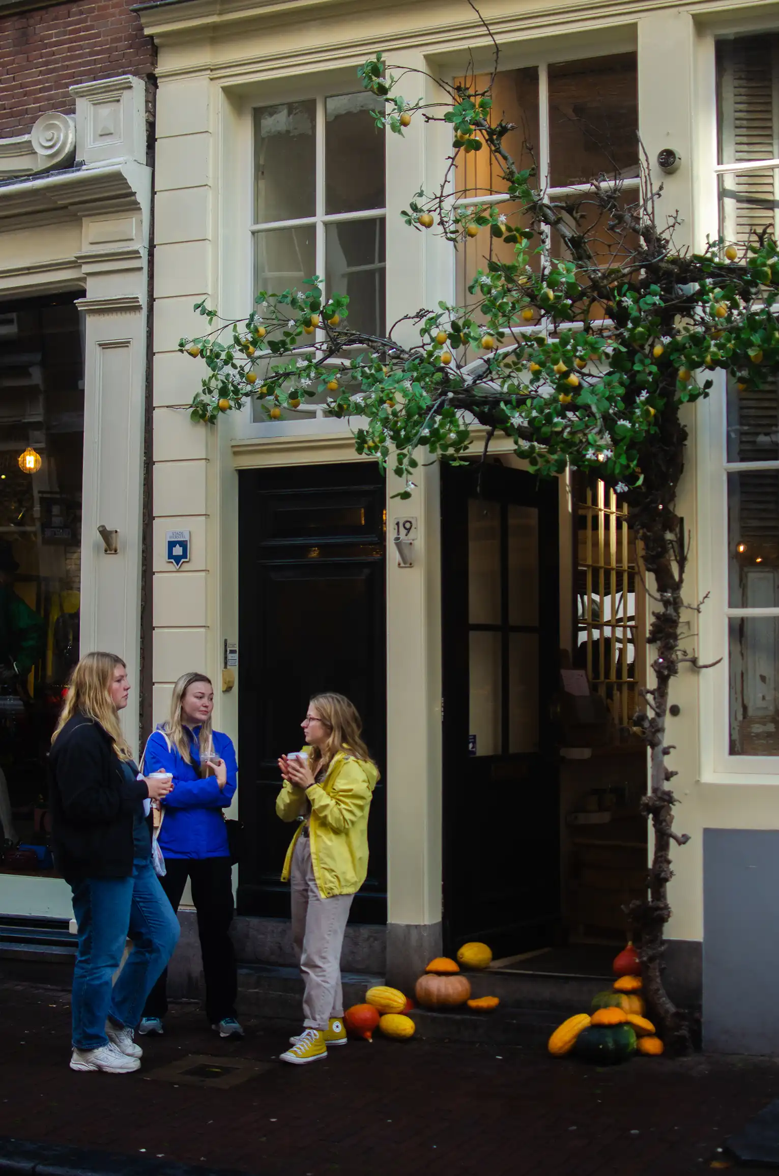amsterdam/Amsterdam-010-3264 x 4928.webp
